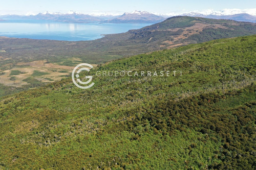 Campo Puerto Natales Con Bosque Y Vista A Montañas