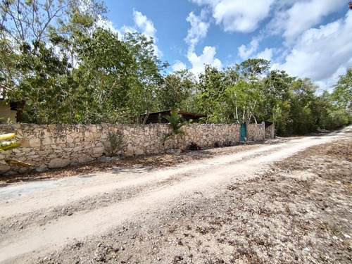 Terrenos En Tulúm&francisco Uh May: Naturaleza, Inversión Y Financiamiento Fácil