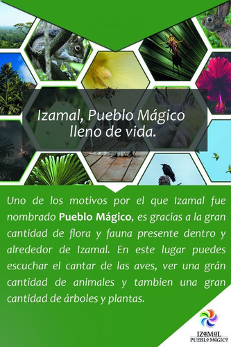 Ultimos Lotes En Izamal Yucatan, Pueblo Magico Con Estacion Del Tren Maya.