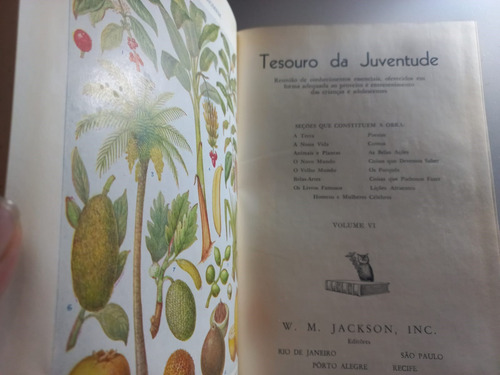 Tesouro Da Juventude Volume 6 Rarissima!!!! Capa Dura - Grande (Usado)