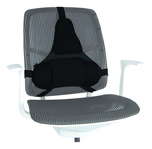 Soporte Lumbar De Serie Professional