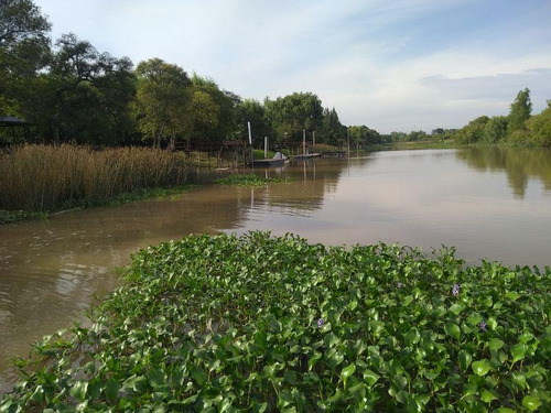 Imagen 2 de 8 de Terreno - Zona Delta Tigre