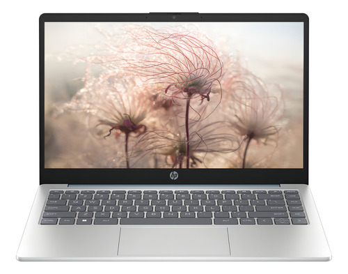 Notebook HP 14-em0004la Amd Ryzen 3 8 Gb Ram 512 Gb Ssd
