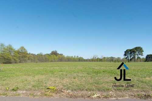 Imagen 11 de 15 de Oportunidad Venta De Dos Lotes Juntos En E1 De Pinares Cc
