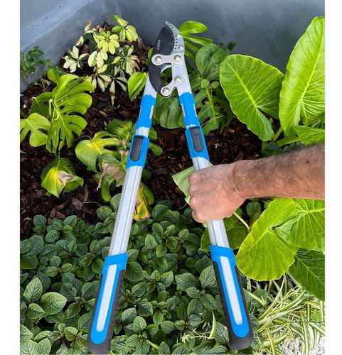 Imagen 3 de 10 de Kit Jardin Podon Yunke Extensible 80cm + Tijera Bypass 8
