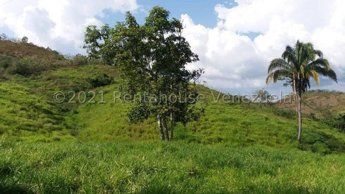 Imagen 1 de 15 de Finca En Venta Tinaquillo Cojedes Gav