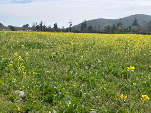 ¡tu Refugio Campestre Te Espera En Calera De Tango!