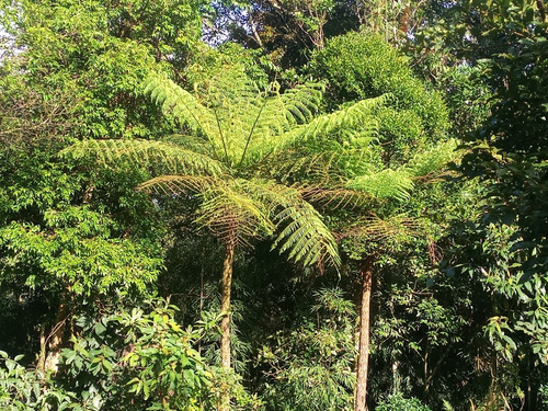 Area No Recreio Da Serra, Próximo De Curitiba