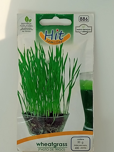 1 Sobre De Semilla De Wheatgrass (pasto De Trigo)