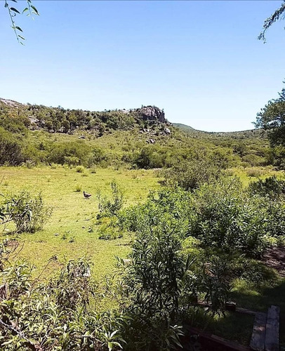 Imagen 9 de 15 de Campo Calmayo