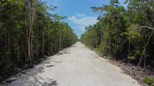 Terrenos · 250m2 · Puerto Morelos · Privada · Amenidades · Preventa · Inversión