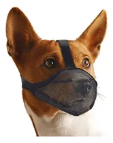 Comprar Bozal Para Perros Whongkidz Para Perros Pequeños Que Visitas