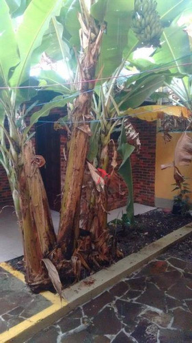 Imagem 8 de 30 de Sobrado Com 3 Dormitórios À Venda, 220 M² Por R$ 850.000,00 - Getúlio Vargas - Torres/rs - So0075