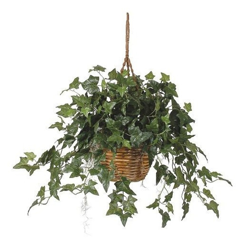 Practicamente Natural Ingles Ivy Hanging Basket Silk Plant