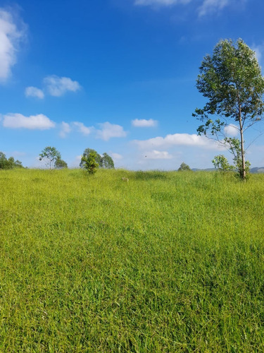 Imagem 13 de 18 de C05 Terrenos A Venda Venha Investir Para Você E Sua Família!