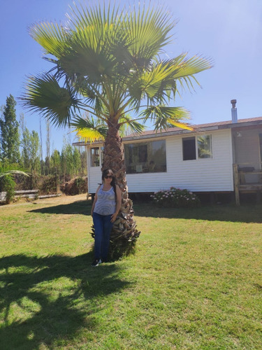 Se Arrienda Casa A Orilla Lago Rapel