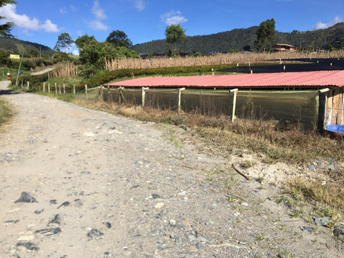 Lindo Lote Sobre Via En La Vereda La Chahpa Del Carmen De Viboral Ant.