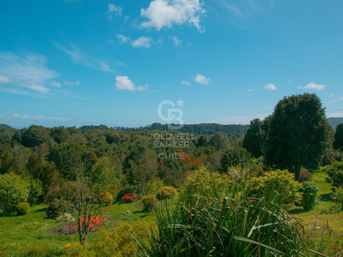 Inmersas En Bosque, Con Orilla De Rio Y Vista Al Lago.