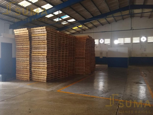 Imagen 4 de 6 de Bodega De Guardado - Miramar
