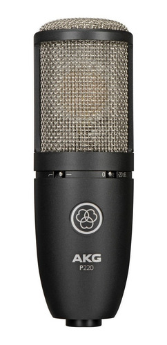Imagen 2 de 7 de Microfono Condenser Akg Perception P220