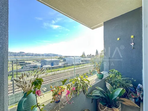 Arriendo Departamento En Pedro De Valdivia, Concepción.