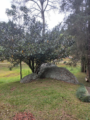 Chácara Ibiuna Aluguel Temporada Sitio Estoril