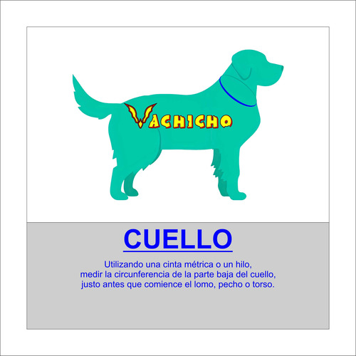Ropa Abrigo Capa Perro Gato - Talles Chicos - Vachicho T.3 - Huracan 01