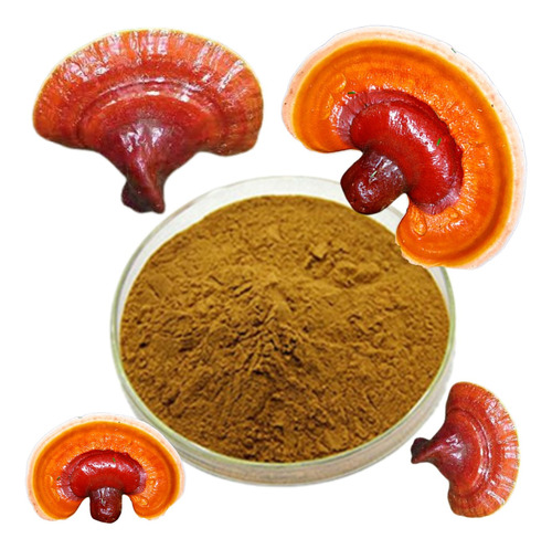 Ganoderma Lucidum Puro Extracto Atomizado Polvo 500 Gramos