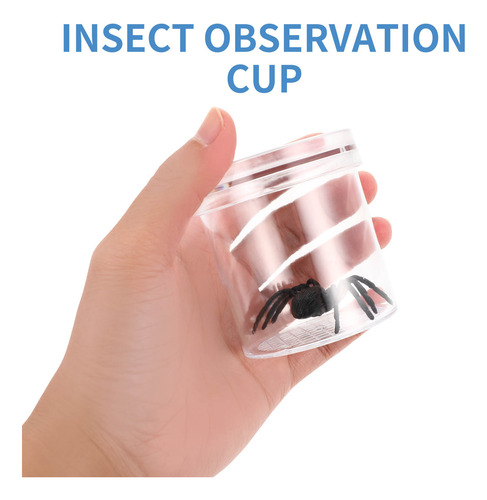 Copa De Observación De Insectos Al Aire Libre