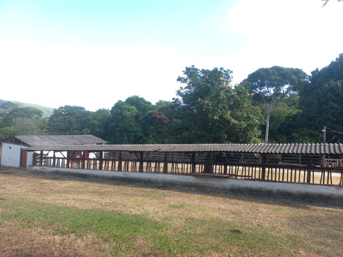 Fazenda Com Ótima Localização