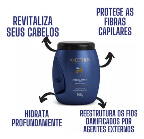 Aneethun Shampoo + Máscara 1 L + Creme De Silicone Proteção