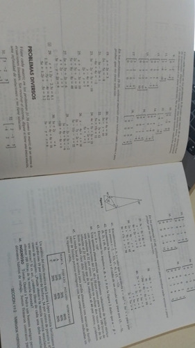 Algebra Y Trigonometría Con Geometría Analítica - Walter (Usado)