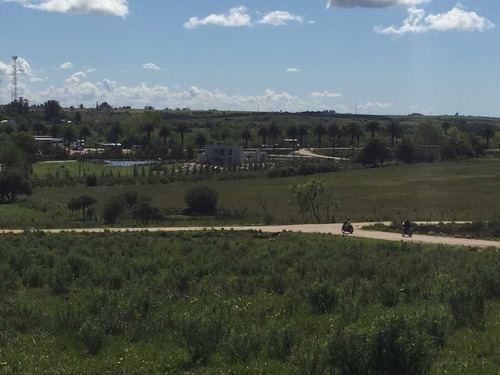 Fraccionamiento  Huertos Del Rosario  Terrenos Desde 450 M2.