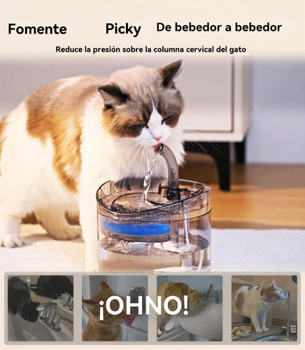 Bebedero Automático Fuente Para Gatos Y Perros Con Filtro 2l Transparente