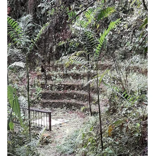Lote En Vender En La Ceja