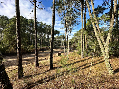 Terreno En Venta, Los Enebros, Cariló
