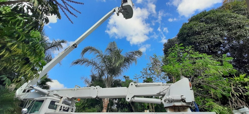 Imagen 3 de 7 de Camión Hiab Con Canastilla Freightliner Tipo Bucket Truck