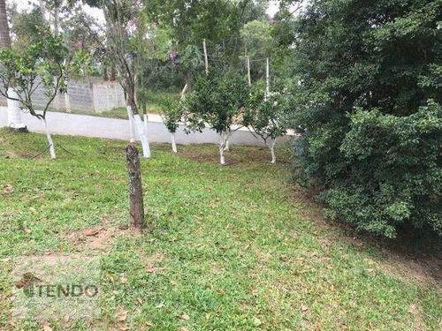 Imagem 11 de 18 de Chácara Com 3 Dormitórios À Venda, 1400 M² Por R$ 478.000 - Parque Cerejeiras - Suzano/sp - Ch0073