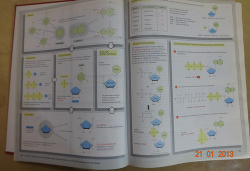 Biología Molecular De La Célula 3ra. Edición Alberts Omega (Usado)
