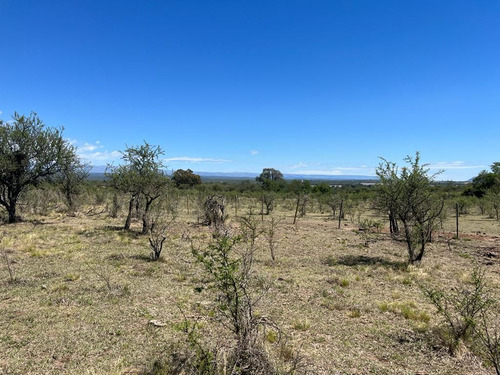 Venta Campo Villa Quillinzo (40 Hectareas) Ideal Para Loteo