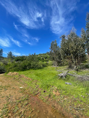 Parcela 5000 M2 En Predio Ranquilhue, Ubicado En Pumanque