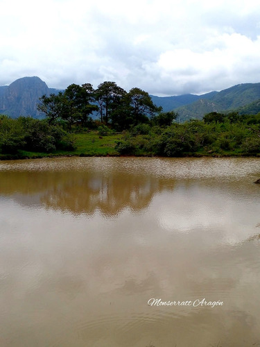 Increíble Terreno Con Manantial