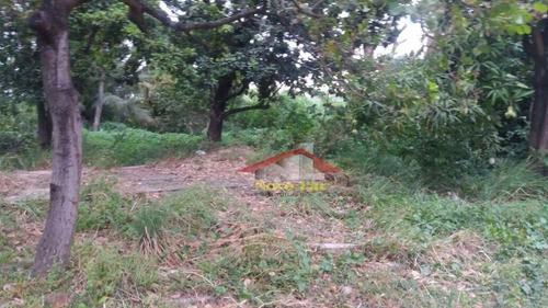 Imagem 7 de 30 de Terreno Comercial À Venda ,na Av.godofredo Maciel - Te0042