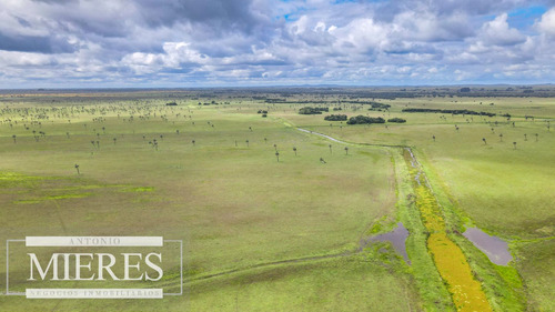 Campo En Rocha Ganadero Agrícola 125ha (ref: Atm-7988)