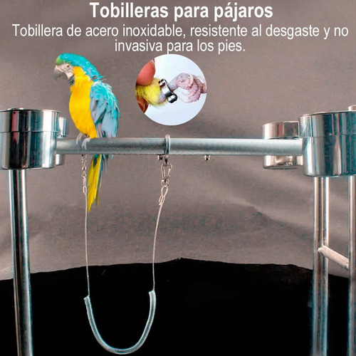 . 6 M Flexible Mascota Loro Pájaro Correa Arnés