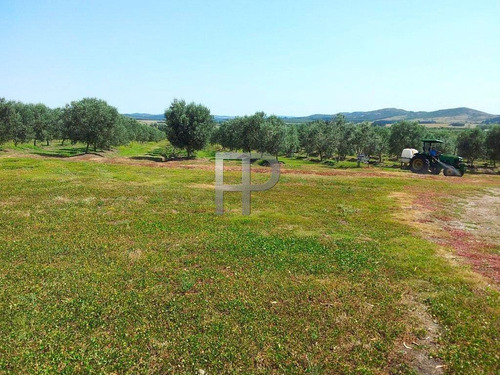 Imagen 2 de 9 de Campo En Venta Pan De Azúcar 60 Hectáreas