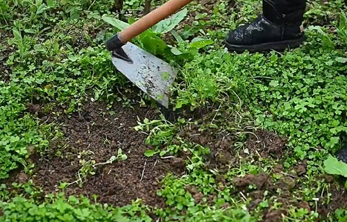 Enxadão Médio 15,5 Cm De Aço Manganês Leve E Resistente