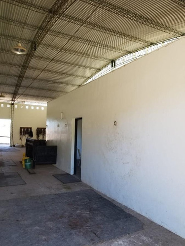 Imagen 6 de 11 de Campo - Marcos Paz