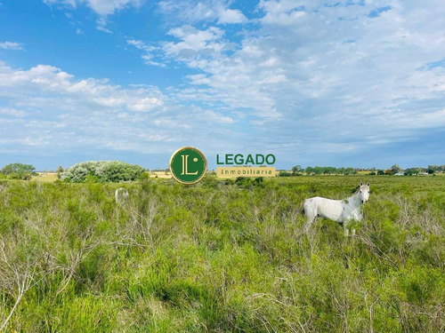 Venta De Chacra De 17 Has. Sobre Ruta 11, Próxima A Atlántida!