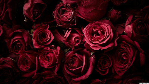 Cuadro 50x75cm Flores Rosas Rojas Blanco Y Negro Deco M6
